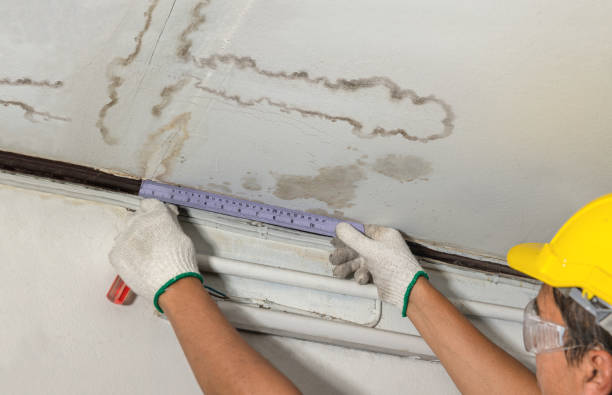 Reliable Structural Drying contractor in Springfield, NJ by Water Damage Irwin